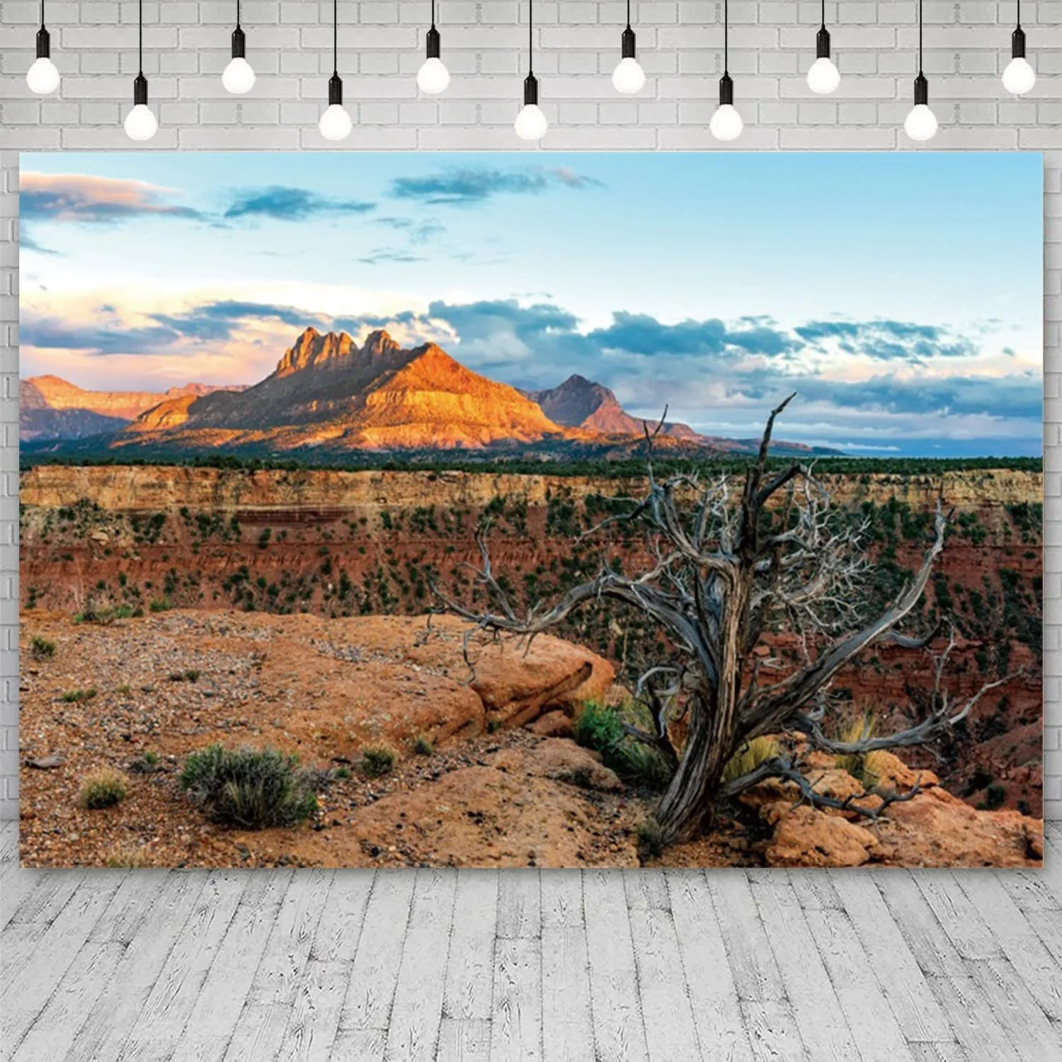 15x8ft Desert Backdrop Red Rock Sunlit Mountain Range Photography Background for Portrait Photo Studio Supplies Wilderness Landscape Wedding Decorations Adventure Theme Birthday Banner
