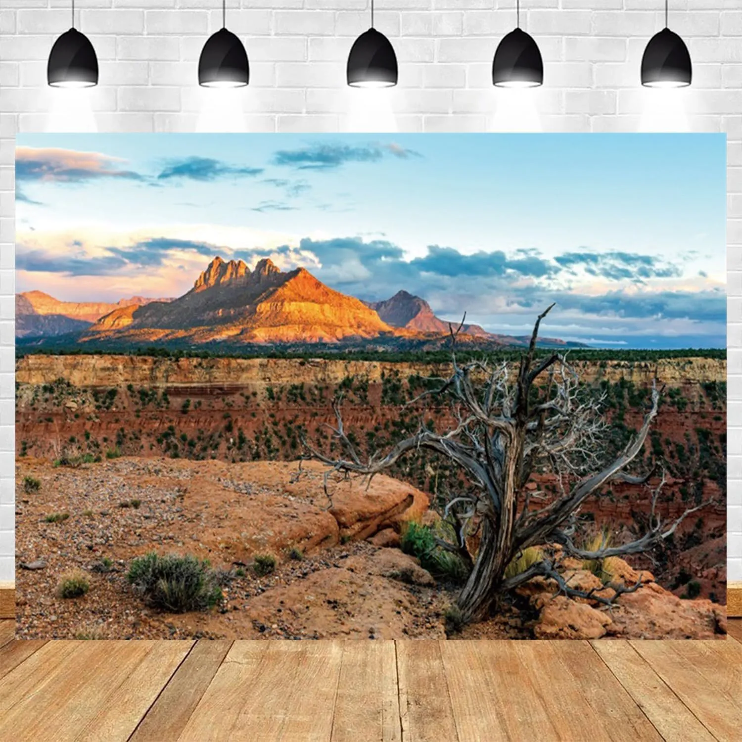15x8ft Desert Backdrop Red Rock Sunlit Mountain Range Photography Background for Portrait Photo Studio Supplies Wilderness Landscape Wedding Decorations Adventure Theme Birthday Banner
