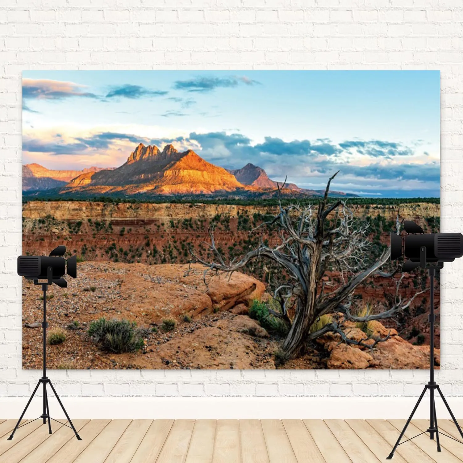 15x8ft Desert Backdrop Red Rock Sunlit Mountain Range Photography Background for Portrait Photo Studio Supplies Wilderness Landscape Wedding Decorations Adventure Theme Birthday Banner