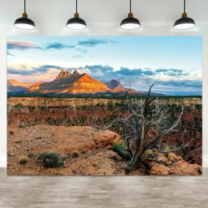 15x8ft Desert Backdrop Red Rock Sunlit Mountain Range Photography Background for Portrait Photo Studio Supplies Wilderness Landscape Wedding Decorations Adventure Theme Birthday Banner