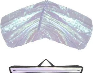 55" Worship Flags for Teenager, Praise Dance Flag for Beginner, Church Flags with Flexible Rods & Carrying Bag, 2 Pack, Transparent Purple