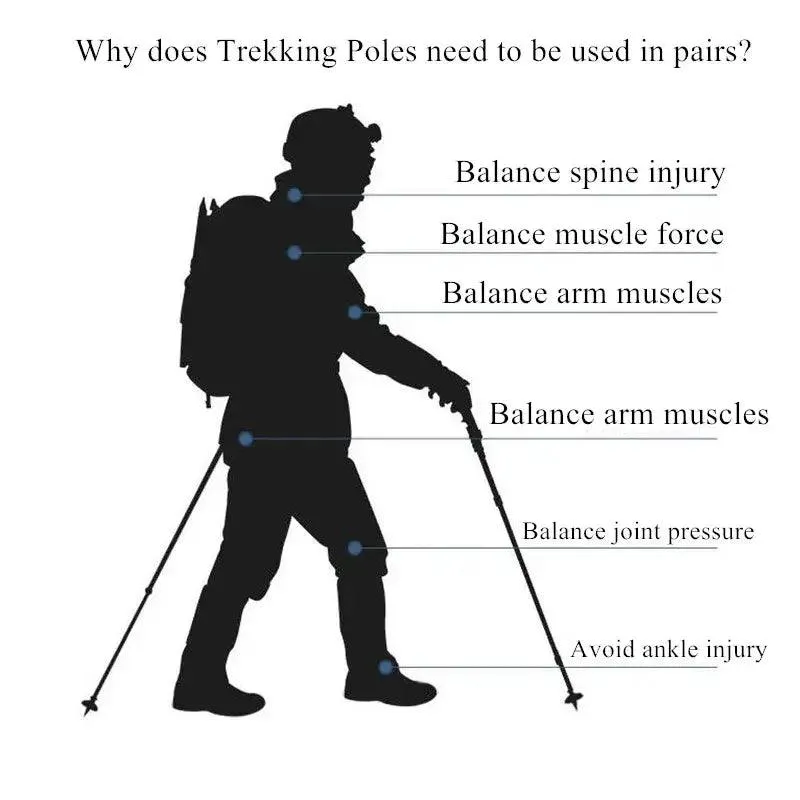 Alloy Trekking Poles