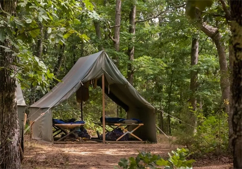 AOFOTO 10x7ft Scouts Forest Camping Backdrop Summer Camp Tent Photography Background Jungle Explore Hiking Woods Adventure Trees Plant Suburb Picnic Campground Girl Boy Photo Studio Props Vinyl