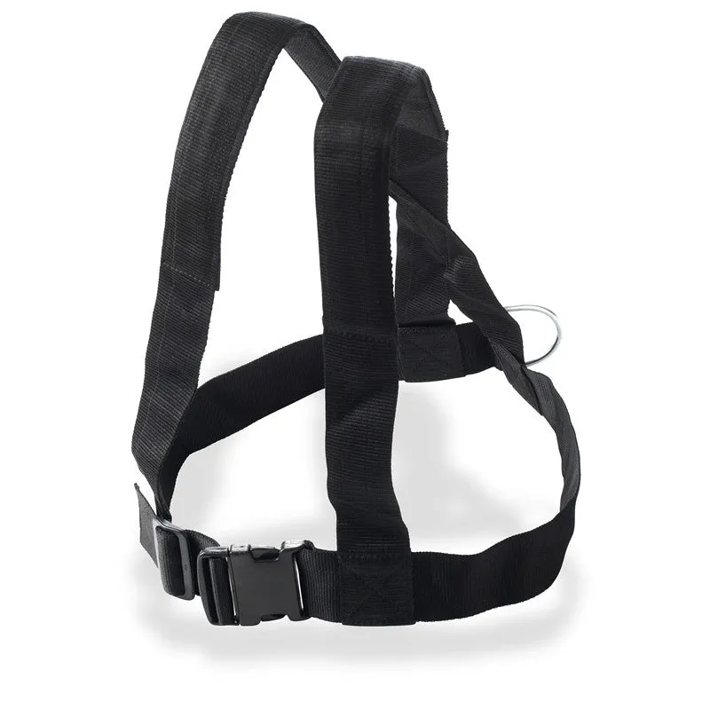 Bytomic Crossfit Dog Sled