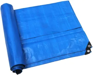 Camping Tent Tarps,Awning Tent Tarpaulin White Blue Thick Waterproof Anti-Aging Easy to Fold Soft and Light Sunscreen Plastic Sheet Greenhouse Outdoor Sports 160G/M?,8M×10M ()