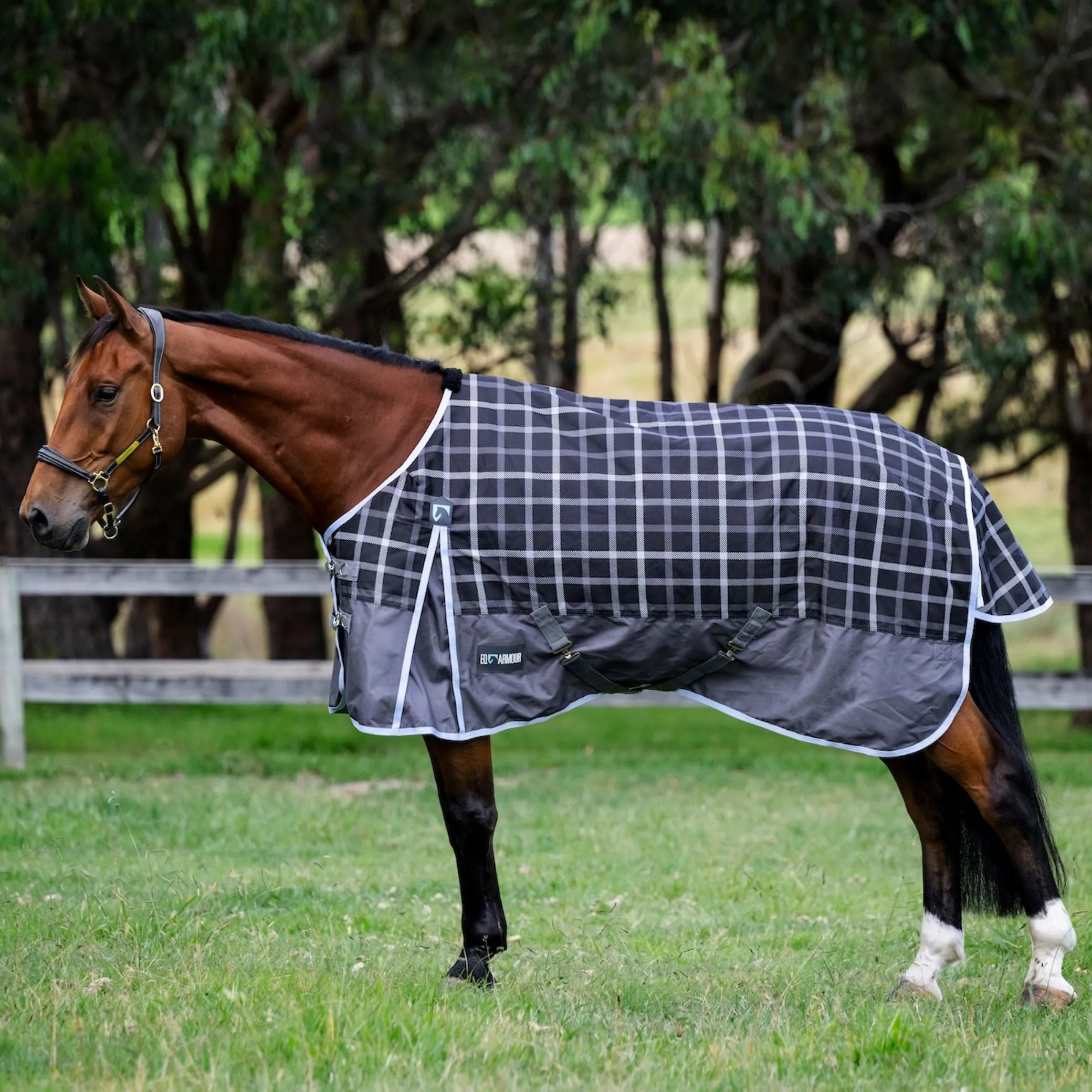 EQ Armour Ascent Plus 1200D 180g Rug