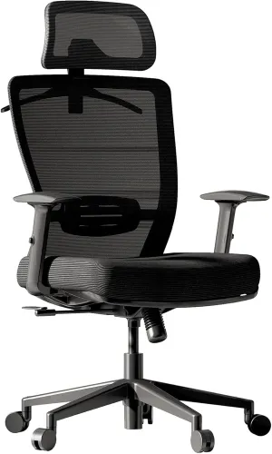 FLEXISPOT Ergonomic Office Chair, High Back Swivel Computer Chair, Home Office Desk Chairs, with 2D Headrest/Adjustable Back Support/Heavy Duty Base, Foam Seat Cushion, Black