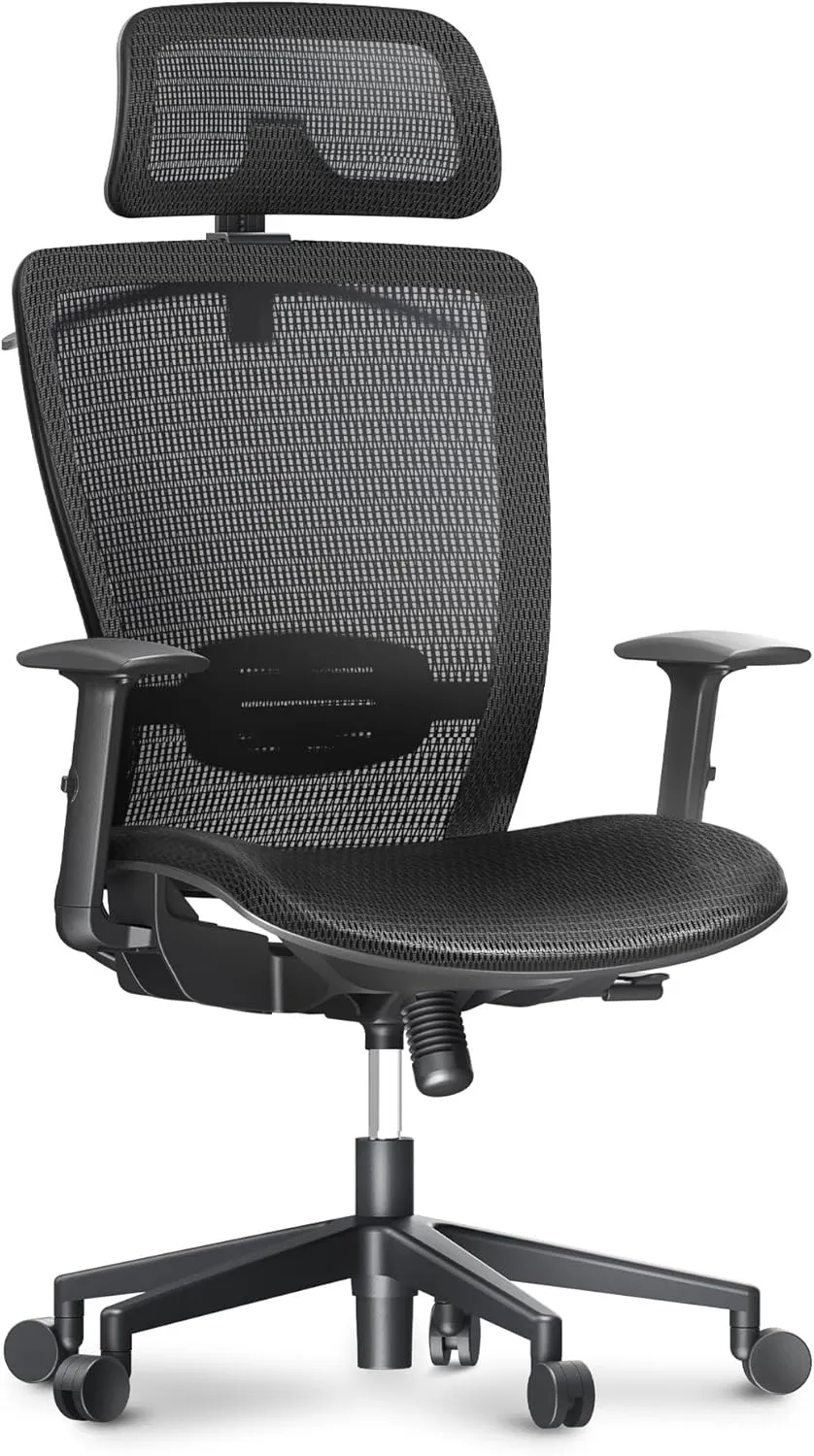 FLEXISPOT Ergonomic Office Chair, Mesh Swivel Computer Chair, Home Office Desk Chairs, with 2D Headrest/Lumber Support/300LBS Heavy Duty, Mesh Seat Cushion, Black