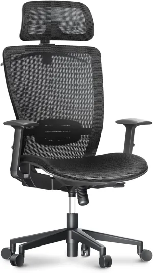 FLEXISPOT Ergonomic Office Chair, Mesh Swivel Computer Chair, Home Office Desk Chairs, with 2D Headrest/Lumber Support/300LBS Heavy Duty, Mesh Seat Cushion, Black