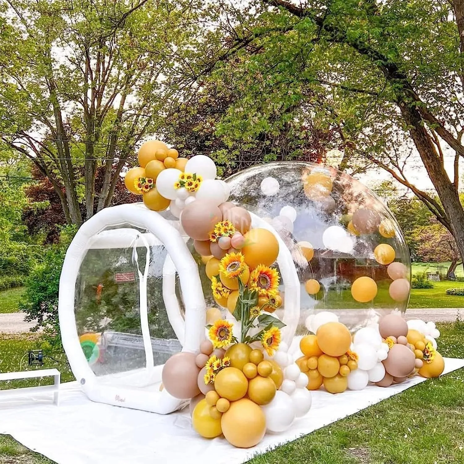Garden Igloo Dome Inflatable Bubble House Sky Inflatable Bubble House Transparent PVC Waterproof Camping Bubble House,Rainproof Outdoor Tent for Outdoor Party Starry (Clear Bubble House 10ft)