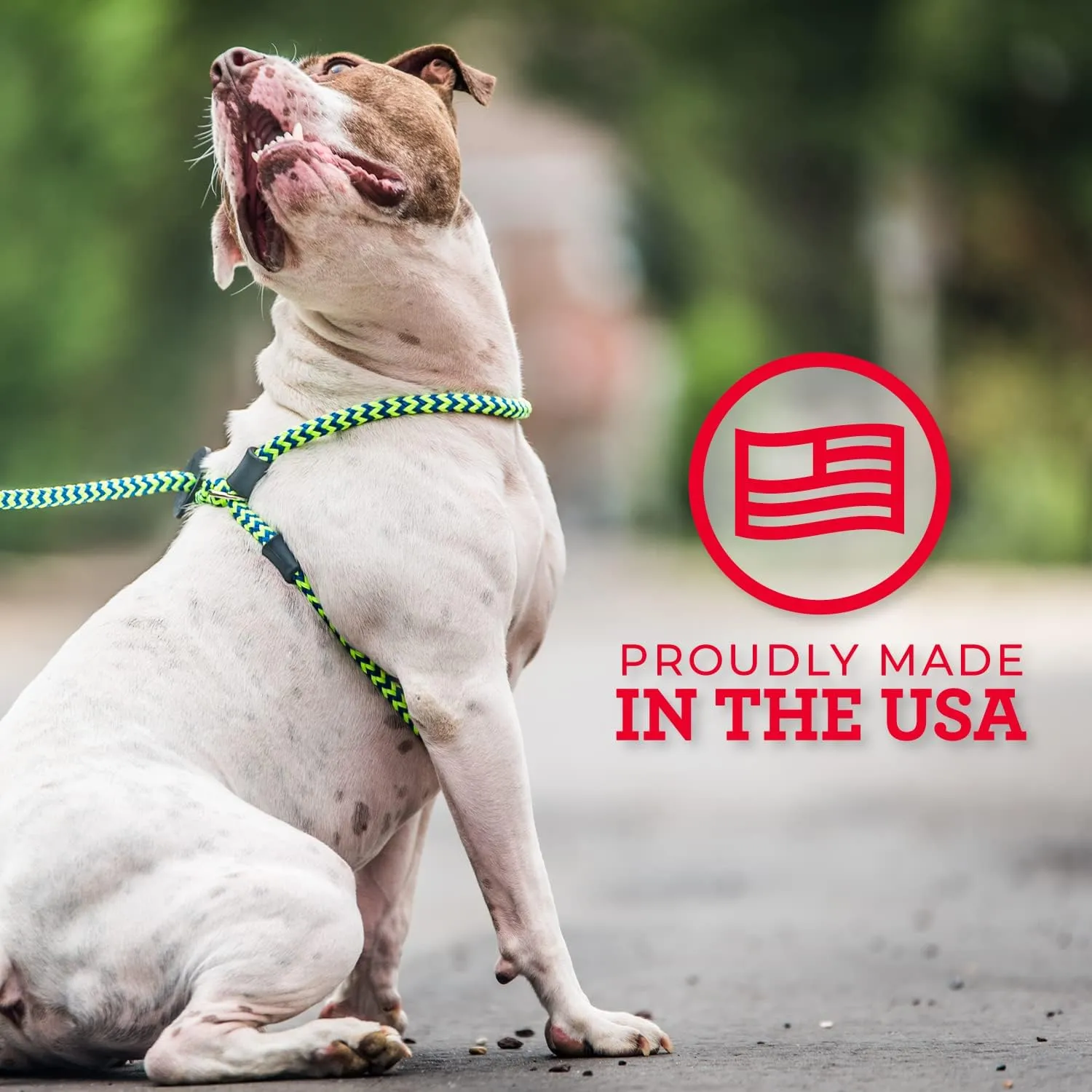 Harness Lead No Pull Dog Harness and Leash Set, Anti Pull Dog Harness for All Breeds and Sizes, One-Piece Cushioned Rope Design Safely Prevents Escaping and Pulling (Small/Medium, Pink)
