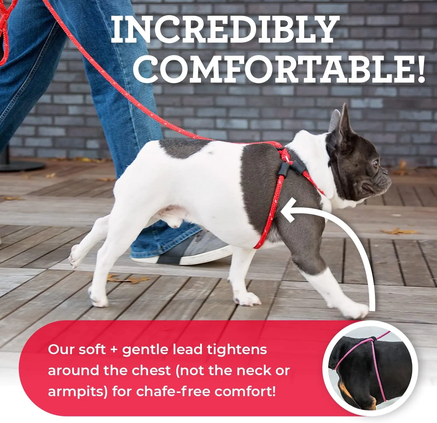 Harness Lead No Pull Dog Harness and Leash Set, Anti Pull Dog Harness for All Breeds and Sizes, One-Piece Cushioned Rope Design Safely Prevents Escaping and Pulling (Small/Medium, Pink)