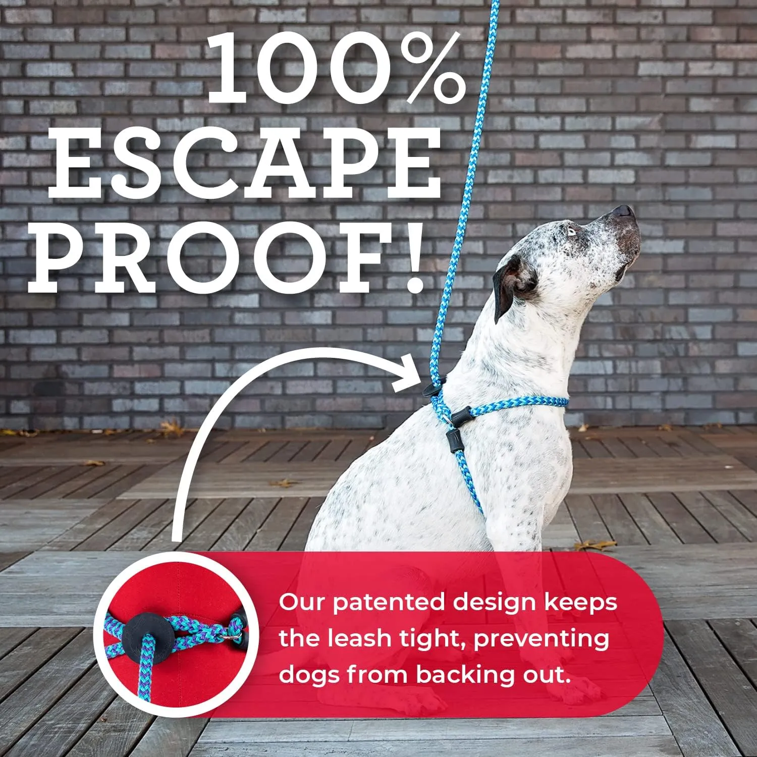 Harness Lead No Pull Dog Harness and Leash Set, Anti Pull Dog Harness, One-Piece Cushioned Rope Safely Prevents Escaping and Pulling *New Insert is Removable (Medium/Large, Reef)