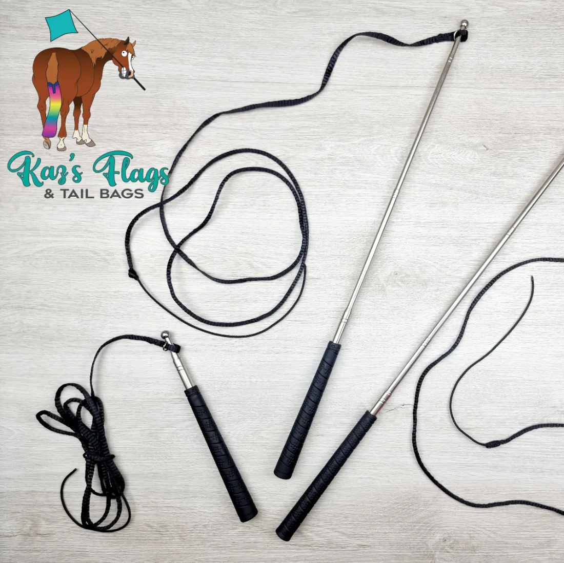 Horsemanship Pocket Lunge Whip Combo