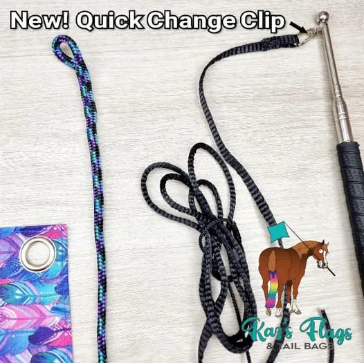 Horsemanship Pocket Lunge Whip Combo