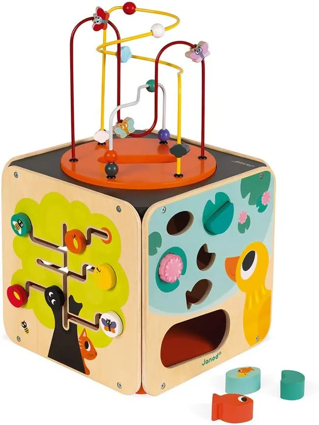 Janod Multi-Activity Looping Toy