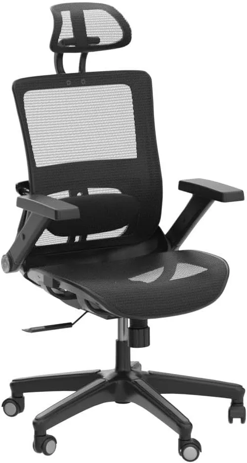 Office Chair Ergonomic Mesh Chair High Back Computer Desk Chair with 3D Armrest Adjustable Lumbar Support and Headrest Receling Chair, Black