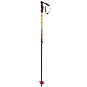 Phantastick FR Touring Ski Poles