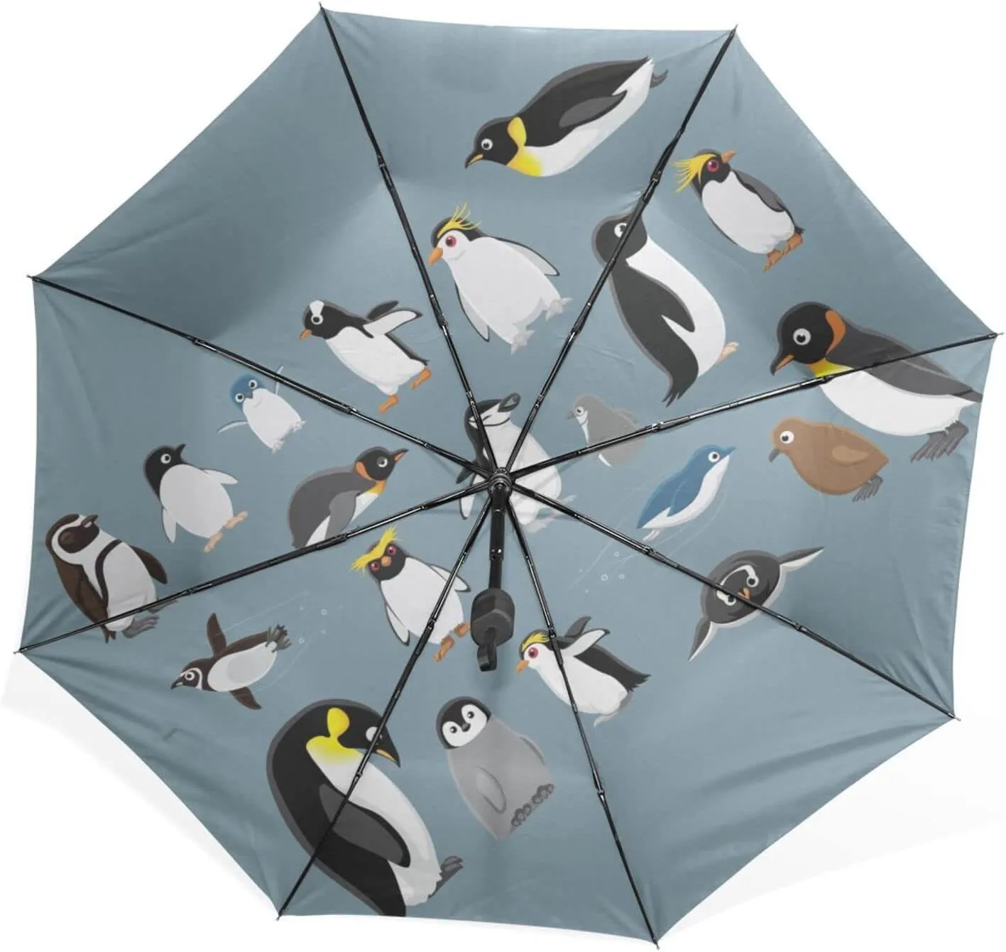 Poeticcity Rain Travel Umbrella, Hand Open Close Windproof Waterproof Folding Umbrella, Compact Canopy Strong Ray Parasol Umbrella