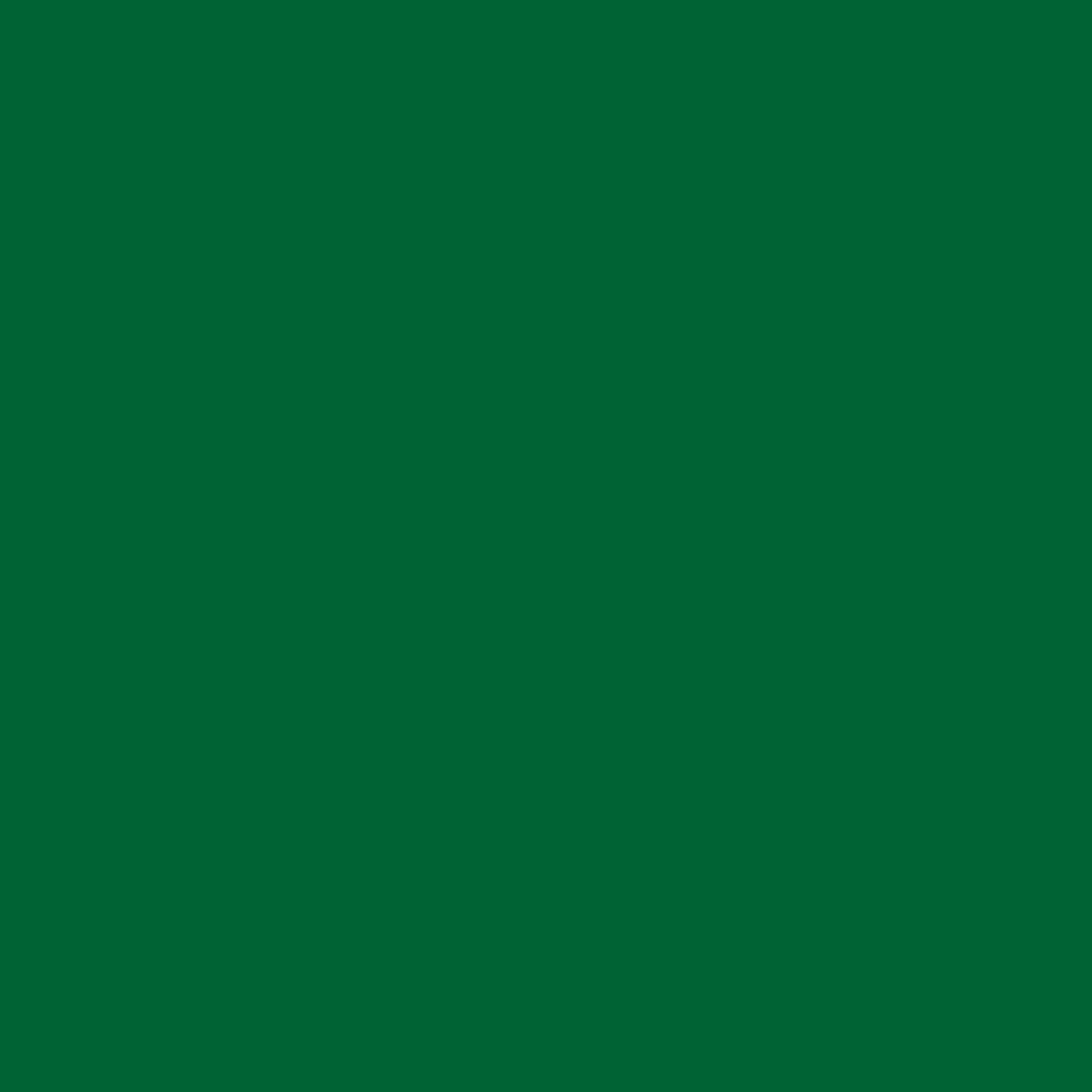 Sidewalls for 10x10 Pop Up Canopy, 210D Polyester Waterproof Canopy Sidewalls with UV Protection, Sunwall Only (Green, 10X10 3PCS)