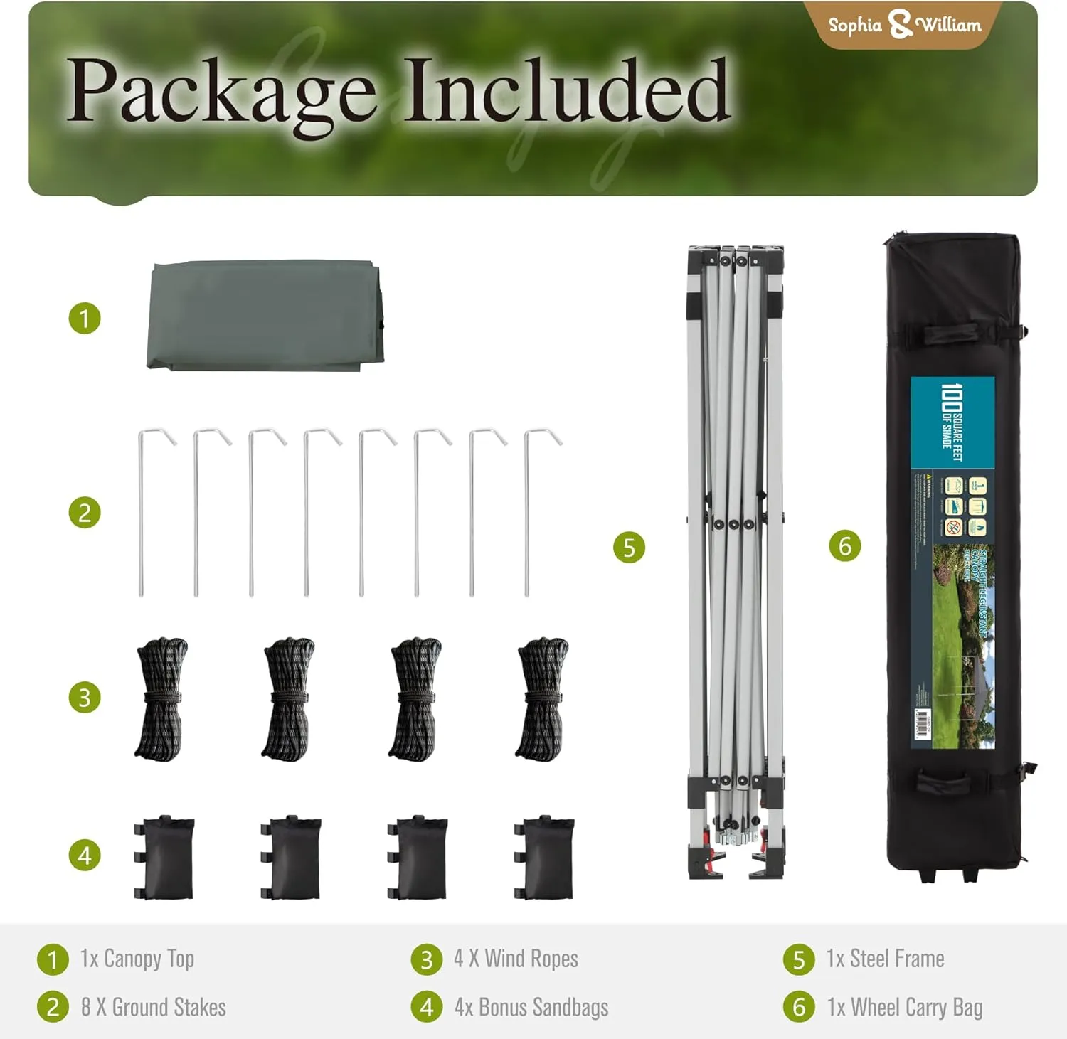 Sophia & William Canopy Tent Pop Up 10x10 ft, Outdoor Patio Portable Commercial Canopies Shelter Heavy Duty Straight Legs with Roller Bag, 8 Stakes, 4 Guy Ropes, UPF50 , Gray