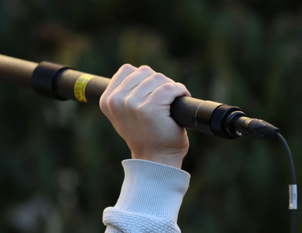 Supportive Cost-effective AMBIENT QP5130 boom cable pole with internal