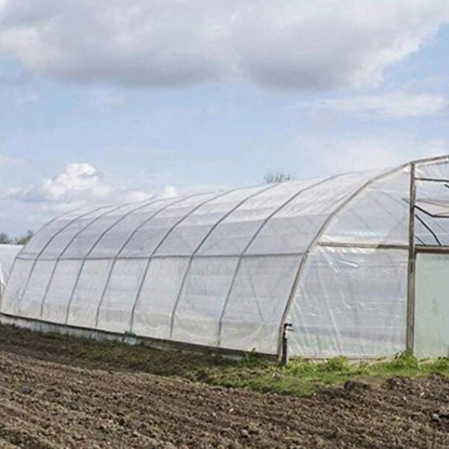 Transparent Tarpaulin with Eyelets 13x13ft, 100% UV & Weather Resistant Vinyl Coated PVC Tarps, Clear Poly Tarps with Grommets, Transparent Tarp Waterproof (4x4m)