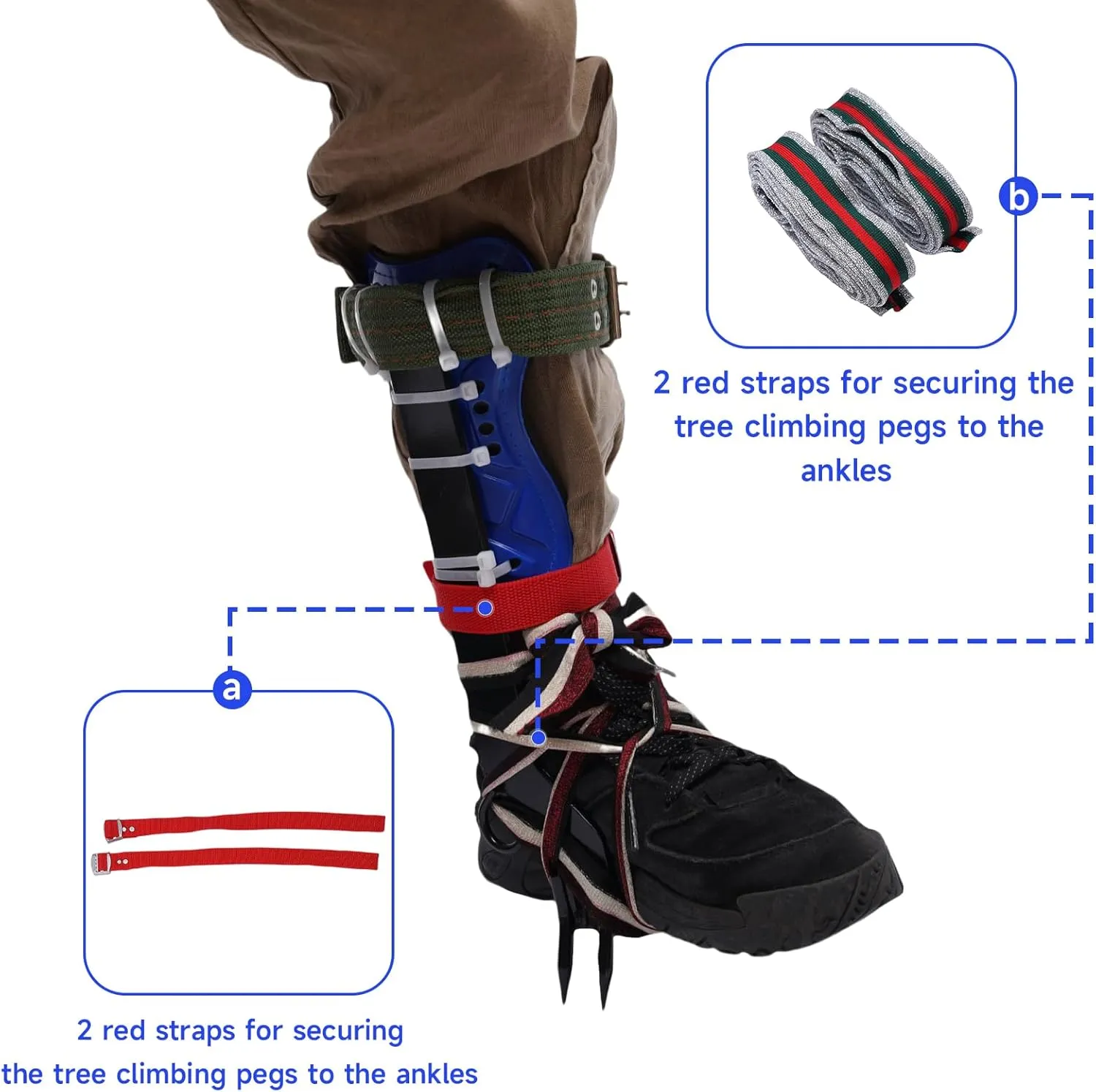 Tree Climbing Spike Set - Adjustable Tree Climbing Gear with Spike Tool