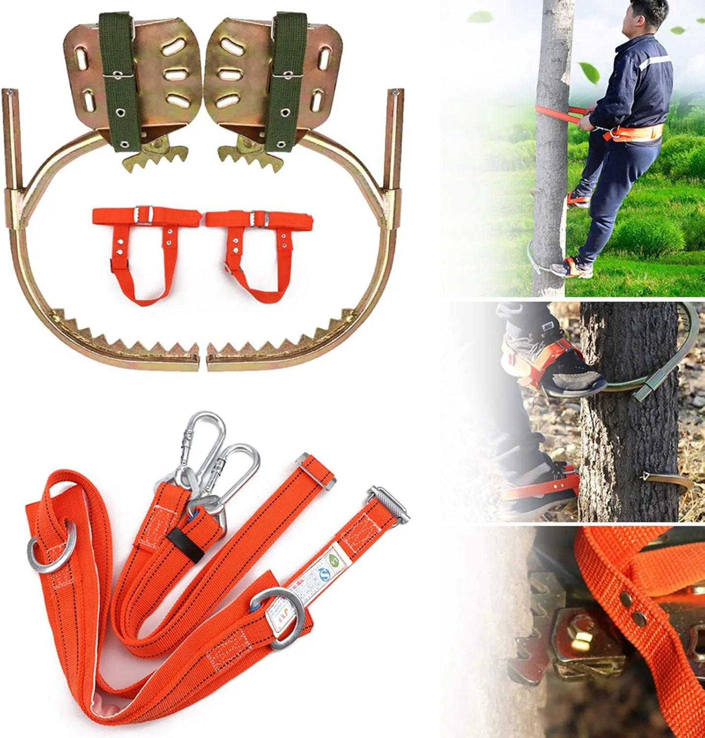 Tree Climbing Tool, Stainless Steel Professional Tree Climbing Gear Kit with Safe Belt, Adjustable Pole Climbing Spikes for Climbing Hunting Observation Picking Fruit,450model