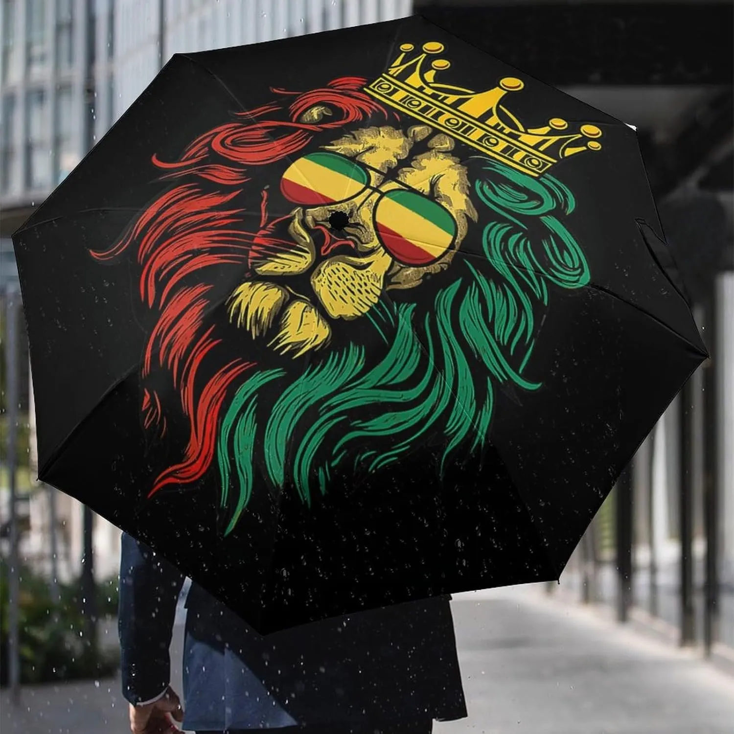 Unisex Womens Mens Compact Travel Auto Open Close Foldable Umbrella, Windproof, Sun and Rain Proof Water Resistant Canopy
