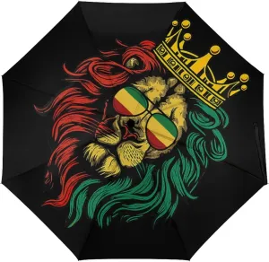 Unisex Womens Mens Compact Travel Auto Open Close Foldable Umbrella, Windproof, Sun and Rain Proof Water Resistant Canopy