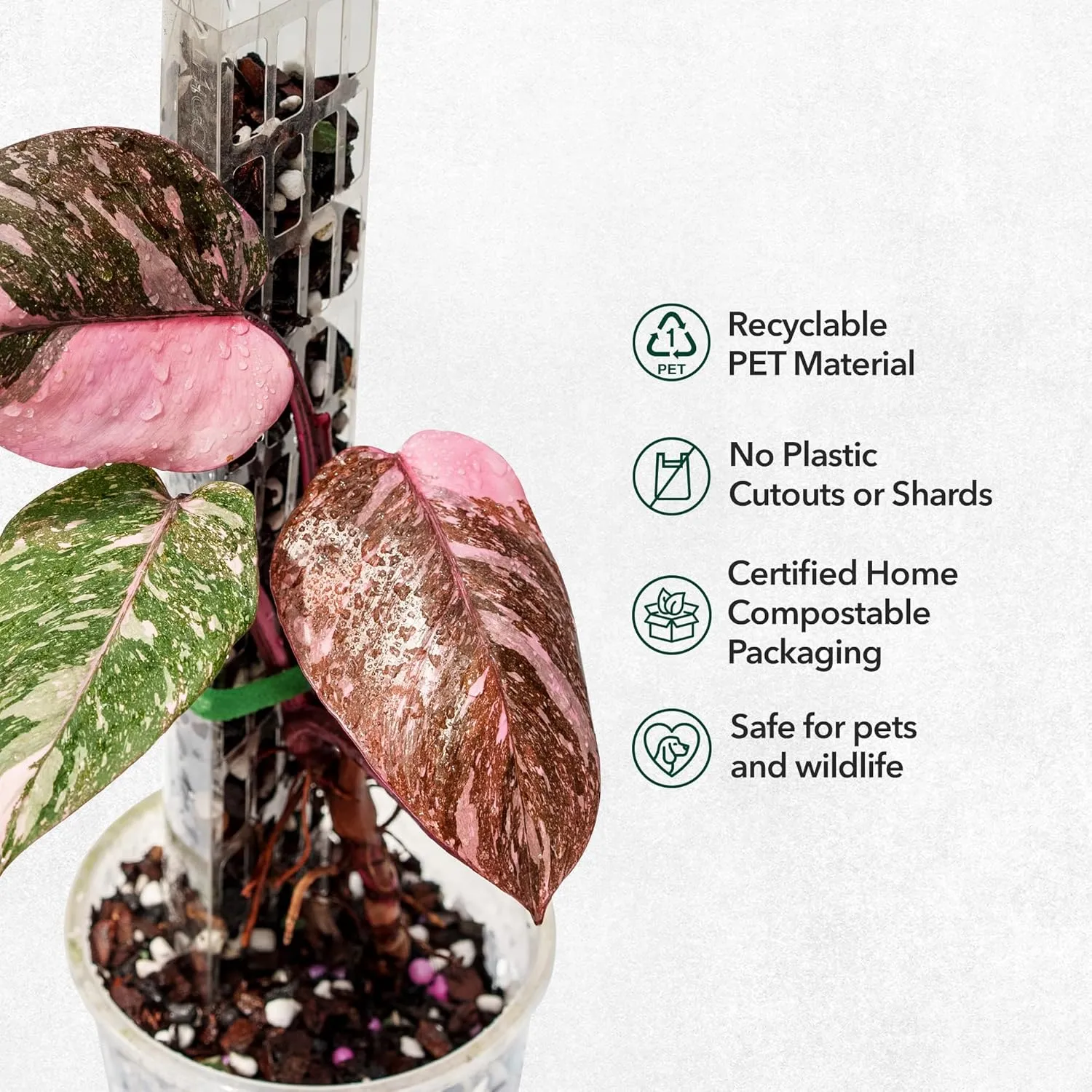 V2 Medium GrowPole - Stackable Plastic Moss Poles for Climbing Plants, Monstera Plant Support-Plant Climbing Pole, DIY Plant Sticks Support. Works for Philodendron and Anthuriums - 5 Pcs
